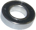 6000 Series Bearing