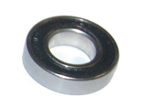 6000 Series Bearing